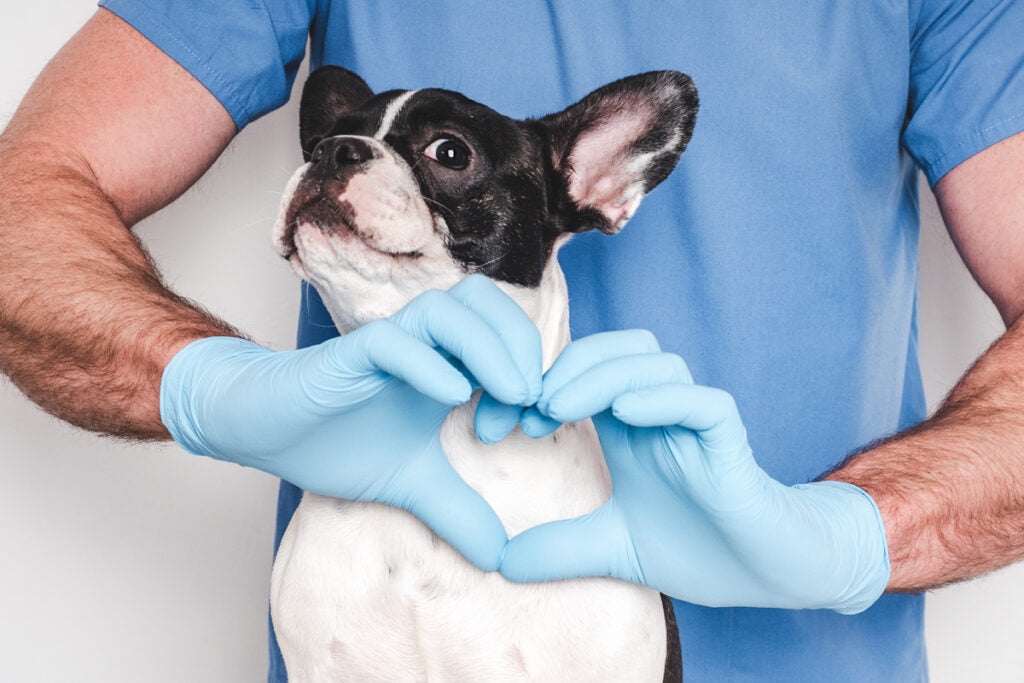 Celebrate Heart Health This February: For You and Your Pet