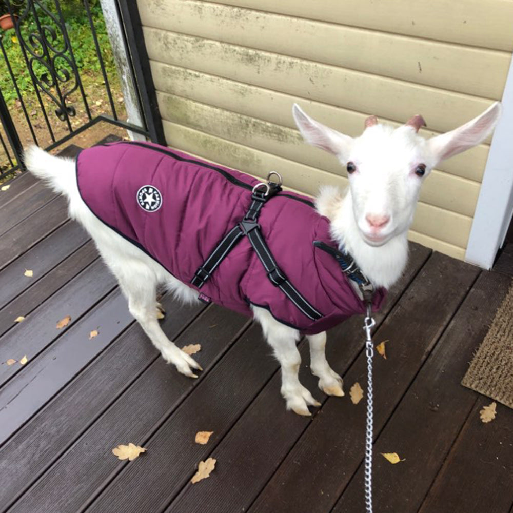 Furrenna™ Waterproof Dog Winter Coat