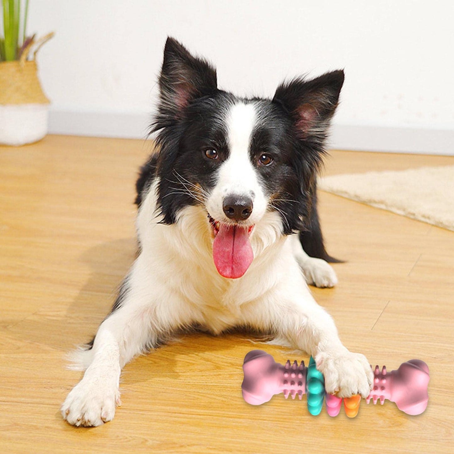 Furrenna™ Dog Bone Chew Toy