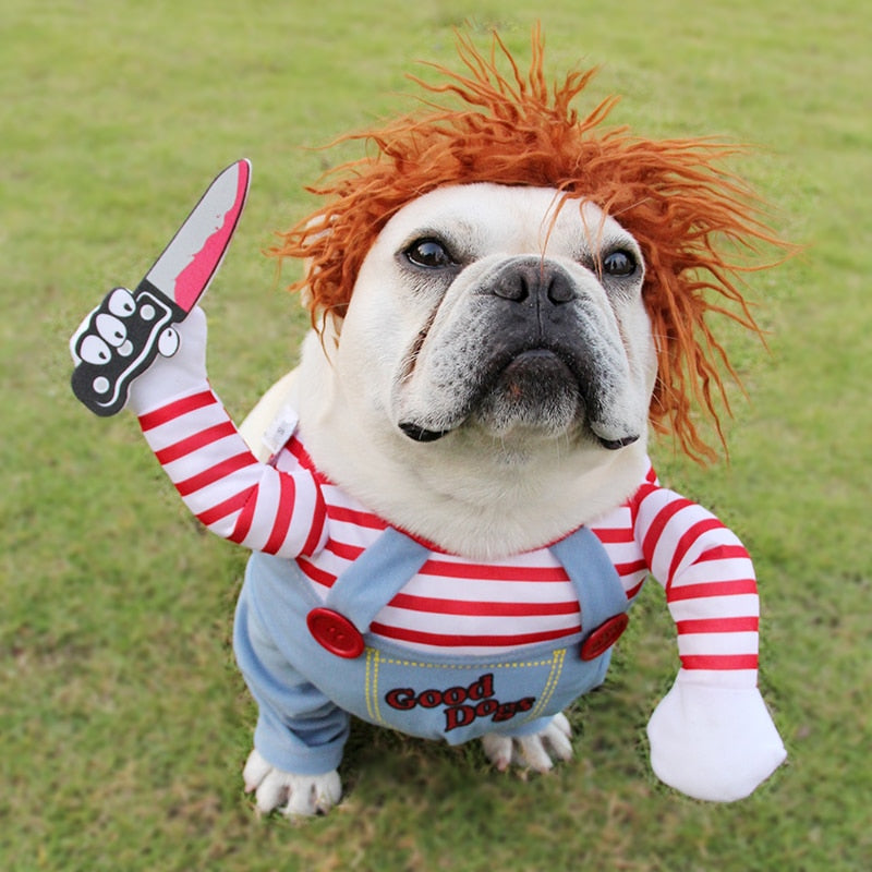 Furrenna™ Halloween Dog Costume