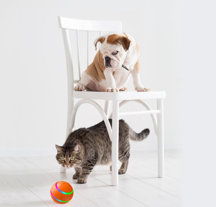 Furrenna™ Self-Rotating Cat Ball
