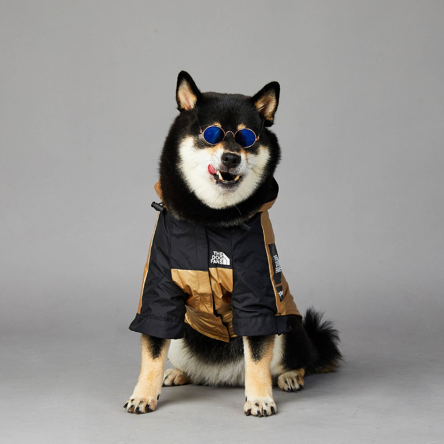 Furrenna™ Dog Raincoat